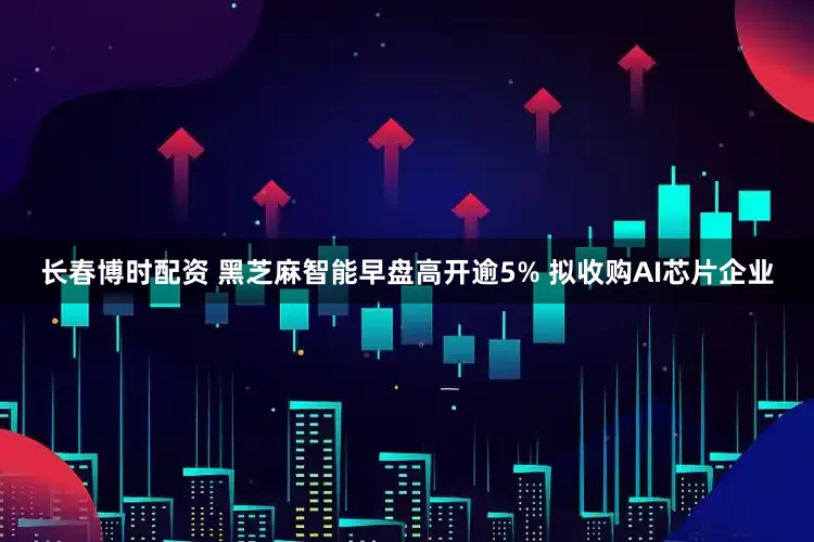 长春博时配资 黑芝麻智能早盘高开逾5% 拟收购AI芯片企业