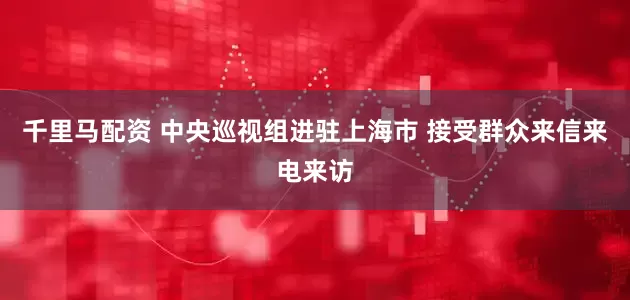 千里马配资 中央巡视组进驻上海市 接受群众来信来电来访