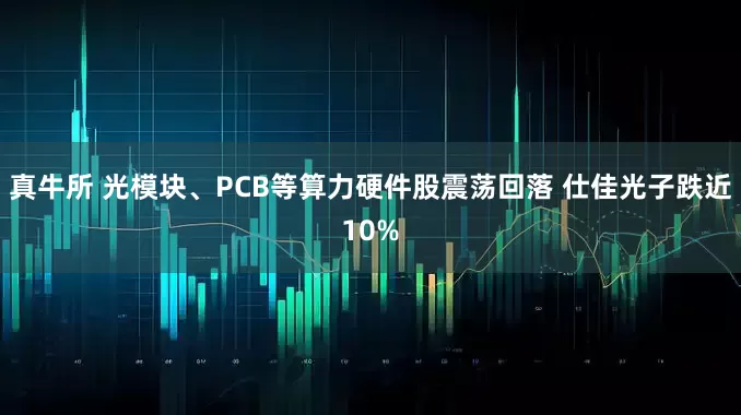真牛所 光模块、PCB等算力硬件股震荡回落 仕佳光子跌近10%