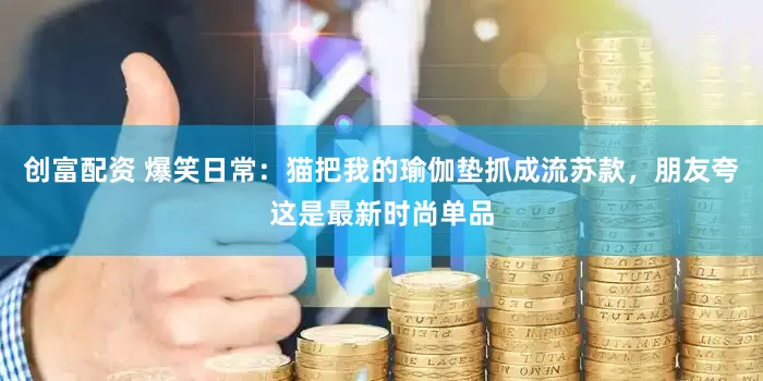 创富配资 爆笑日常：猫把我的瑜伽垫抓成流苏款，朋友夸这是最新时尚单品